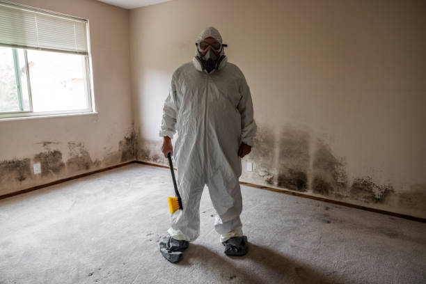 Best Insurance-Related Mold Remediation in Oberlin, KS